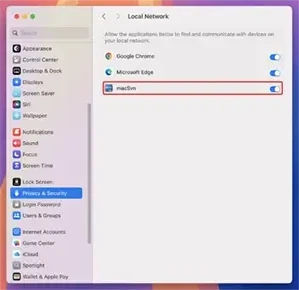 macOS Settings/Privacy and Security/Local Network